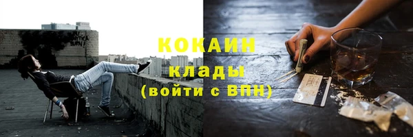 дурь Бородино