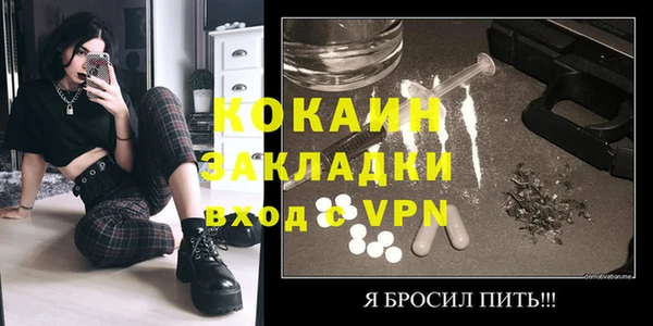 дурь Бородино