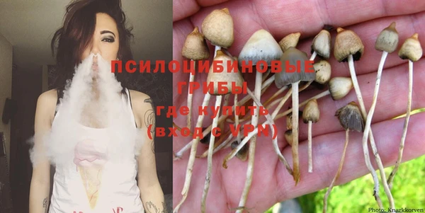 ешки Бронницы