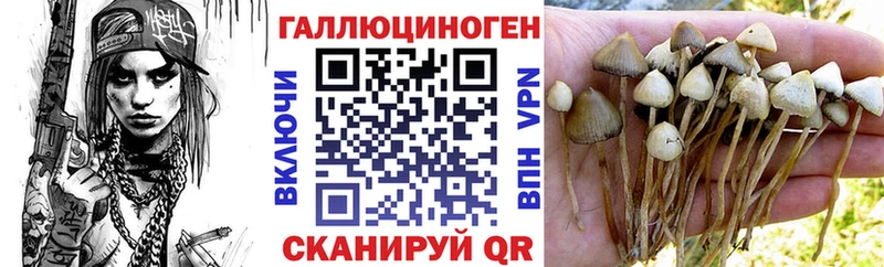Псилоцибиновые грибы Psilocybe закладка Кинешма